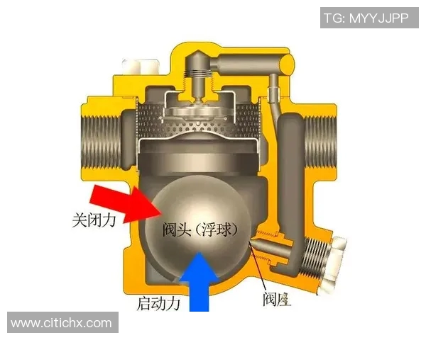 水管阀门的选购与安装技巧解析及其在家庭管道系统中的重要性